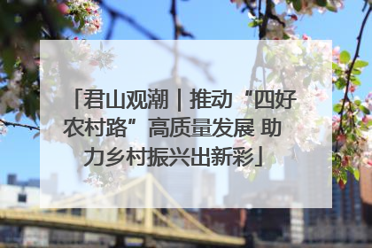 君山观潮｜推动“四好农村路”高质量发展 助力乡村振兴出新彩