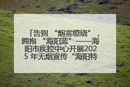 告别 “烟雾缭绕”，拥抱 “海阳蓝”——海阳市疾控中心开展2025 年无烟宣传“海阳特色”实践记录