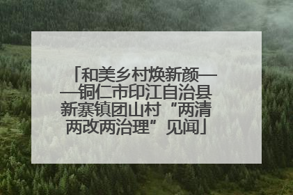 和美乡村焕新颜——铜仁市印江自治县新寨镇团山村“两清两改两治理”见闻