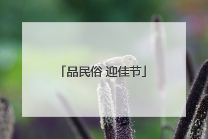 品民俗 迎佳节