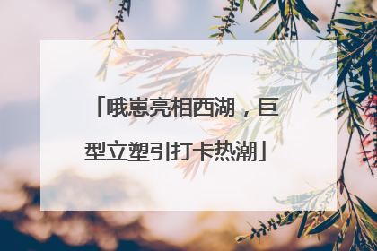 哦崽亮相西湖，巨型立塑引打卡热潮