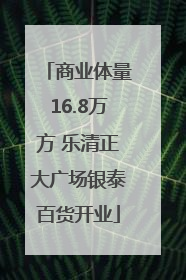 商业体量16.8万方 乐清正大广场银泰百货开业