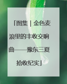 图集｜金色麦浪里的丰收交响曲——豫东三夏抢收纪实