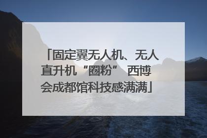 固定翼无人机、无人直升机“圈粉” 西博会成都馆科技感满满