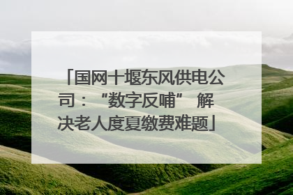 国网十堰东风供电公司：“数字反哺” 解决老人度夏缴费难题
