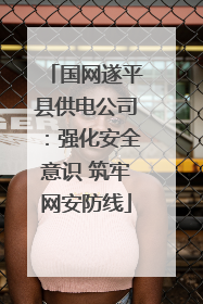 国网遂平县供电公司：强化安全意识 筑牢网安防线