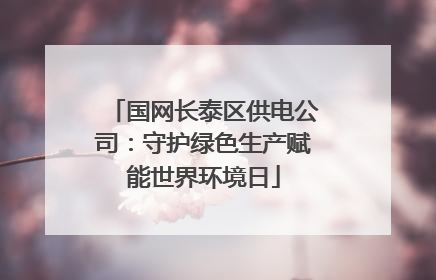 国网长泰区供电公司：守护绿色生产赋能世界环境日