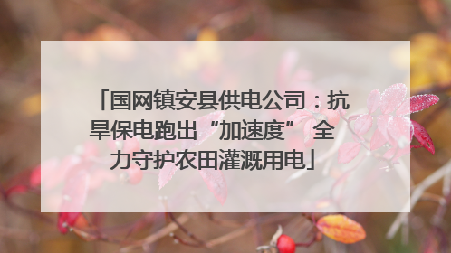 国网镇安县供电公司：抗旱保电跑出“加速度” 全力守护农田灌溉用电