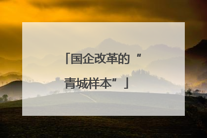 国企改革的“青城样本”