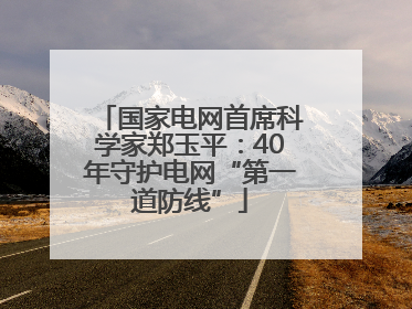 国家电网首席科学家郑玉平：40年守护电网“第一道防线”