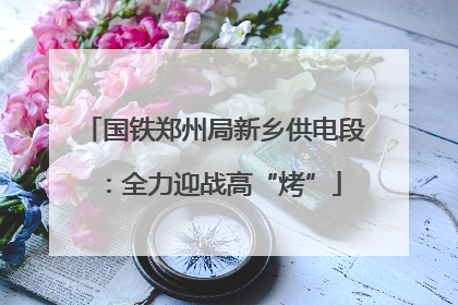 国铁郑州局新乡供电段：全力迎战高“烤”