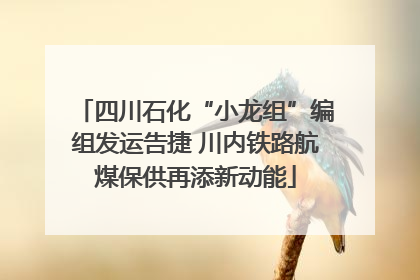 四川石化“小龙组”编组发运告捷 川内铁路航煤保供再添新动能