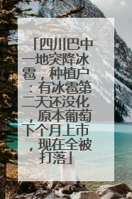 四川巴中一地突降冰雹，种植户：有冰雹第二天还没化，原本葡萄下个月上市，现在全被打落