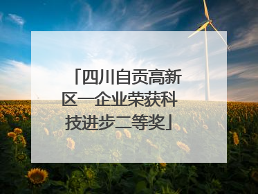 四川自贡高新区一企业荣获科技进步二等奖