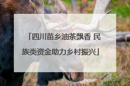 四川苗乡油茶飘香 民族类资金助力乡村振兴