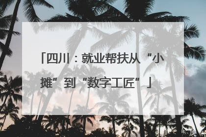 四川：就业帮扶从“小摊”到“数字工匠”