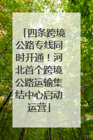四条跨境公路专线同时开通！河北首个跨境公路运输集结中心启动运营