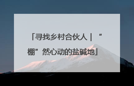 寻找乡村合伙人｜“棚”然心动的盐碱地