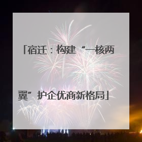 宿迁：构建“一核两翼”护企优商新格局