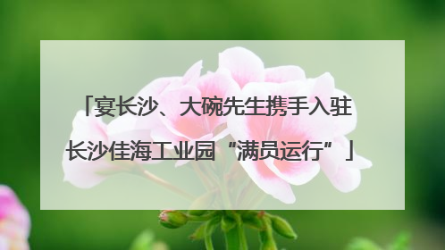宴长沙、大碗先生携手入驻 长沙佳海工业园“满员运行”