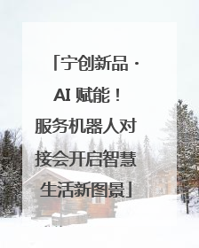 宁创新品・AI 赋能！服务机器人对接会开启智慧生活新图景
