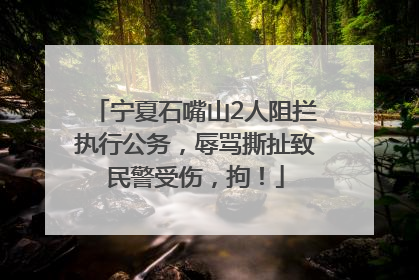 宁夏石嘴山2人阻拦执行公务，辱骂撕扯致民警受伤，拘！