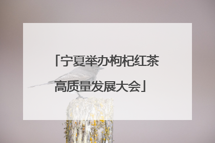 宁夏举办枸杞红茶高质量发展大会
