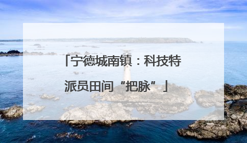 宁德城南镇：科技特派员田间“把脉”