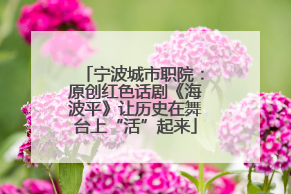 宁波城市职院：原创红色话剧《海波平》让历史在舞台上“活”起来