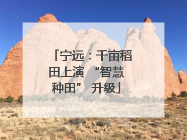 宁远：千亩稻田上演 “智慧种田” 升级