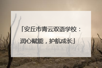 安丘市青云双语学校：润心赋能，护航成长