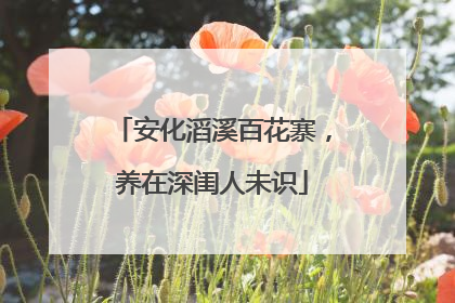 安化滔溪百花寨，养在深闺人未识