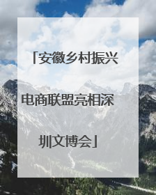安徽乡村振兴电商联盟亮相深圳文博会