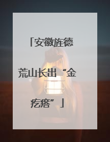 安徽旌德 荒山长出“金疙瘩”