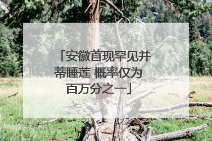 安徽首现罕见并蒂睡莲 概率仅为百万分之一