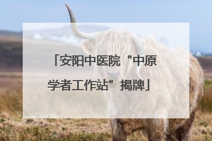 安阳中医院“中原学者工作站”揭牌