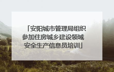 安阳城市管理局组织参加住房城乡建设领域安全生产信息员培训