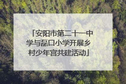 安阳市第二十一中学与磊口小学开展乡村少年宫共建活动