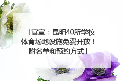 官宣：昆明40所学校体育场地设施免费开放！附名单和预约方式