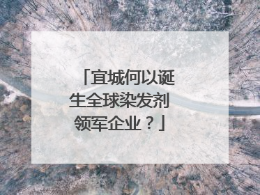 宜城何以诞生全球染发剂领军企业？