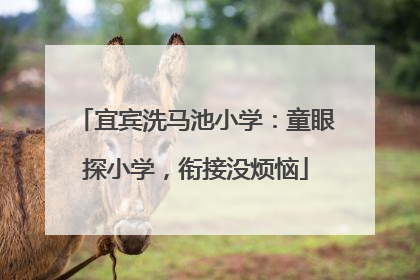 宜宾洗马池小学：童眼探小学，衔接没烦恼