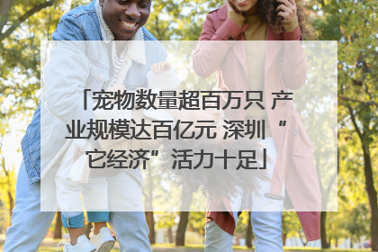 宠物数量超百万只 产业规模达百亿元 深圳“它经济”活力十足