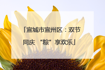 宣城市宣州区：双节同庆 “粽”享欢乐