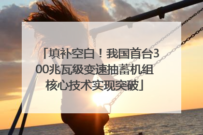 填补空白！我国首台300兆瓦级变速抽蓄机组核心技术实现突破