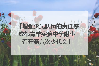 增强少先队员的责任感 成都青羊实验中学附小召开第六次少代会