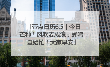 壹点日历6.5｜今日芒种！风吹麦成浪，蝉鸣夏始忙！大家早安