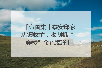 壹图集丨泰安邱家店镇收忙，收割机“穿梭”金色海洋