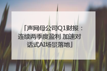 声网母公司Q1财报：连续两季度盈利 加速对话式AI场景落地