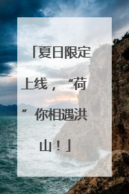 夏日限定上线，“荷”你相遇洪山！