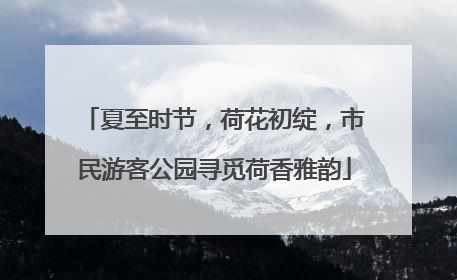 夏至时节，荷花初绽，市民游客公园寻觅荷香雅韵
